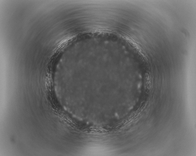 X0000115340918200912141236