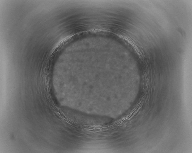 X0000115340919200912141236