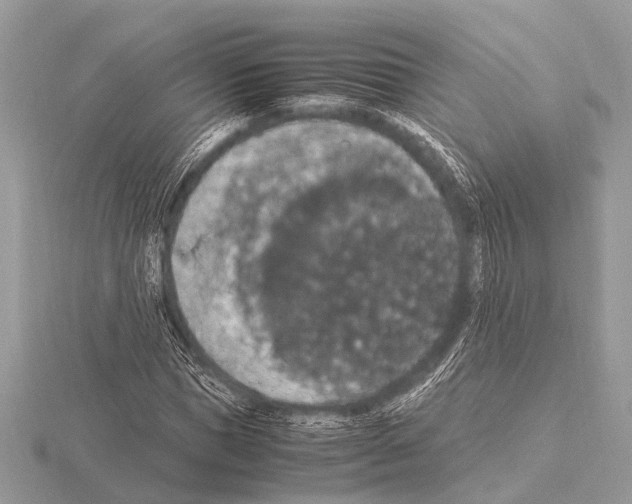 X0000115340921200912141236