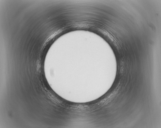 X0000115340922200912141236