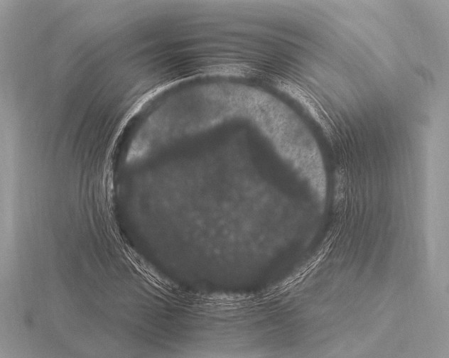 X0000115340923200912141236