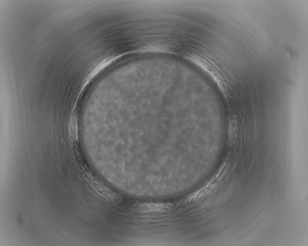 X0000115340925200912141236