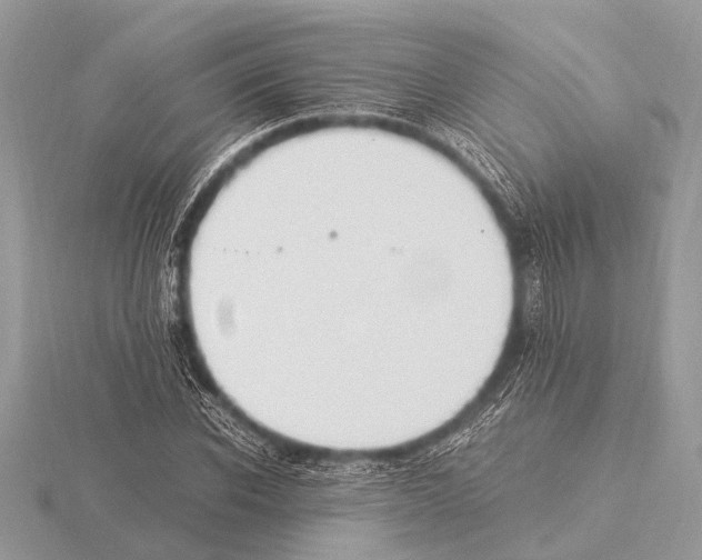 X0000115340926200912141236