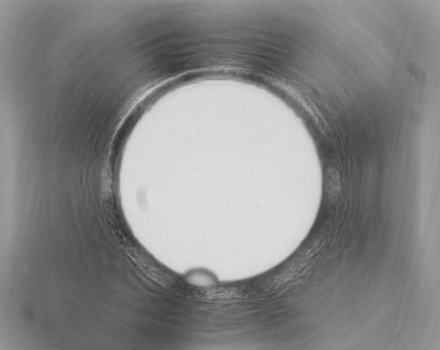 X0000115340927200912141236