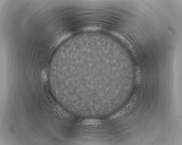 X0000115340929200912141236