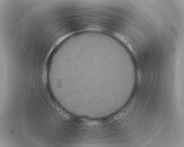 X0000115340931200912141236