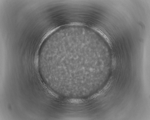 X0000115340933200912141236