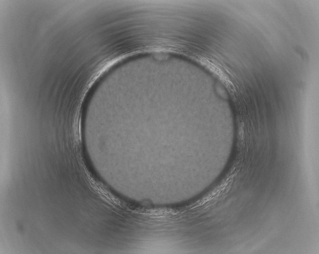 X0000115340934200912141236