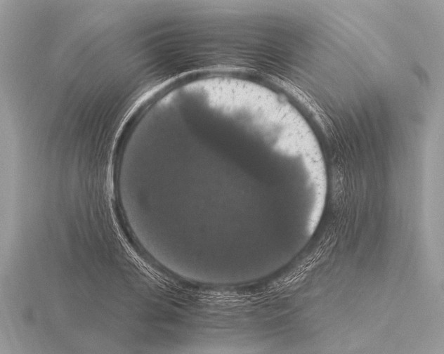 X0000115340935200912141236