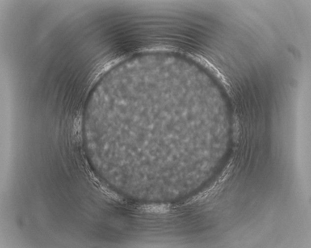 X0000115340937200912141236