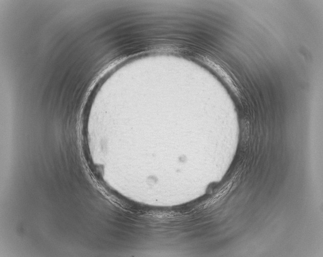 X0000115340939200912141236