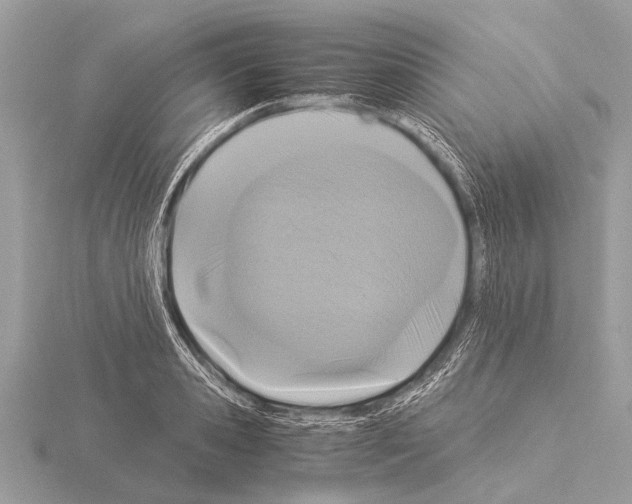 X0000115340941200912141236