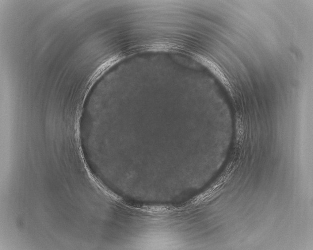 X0000115340946200912141237