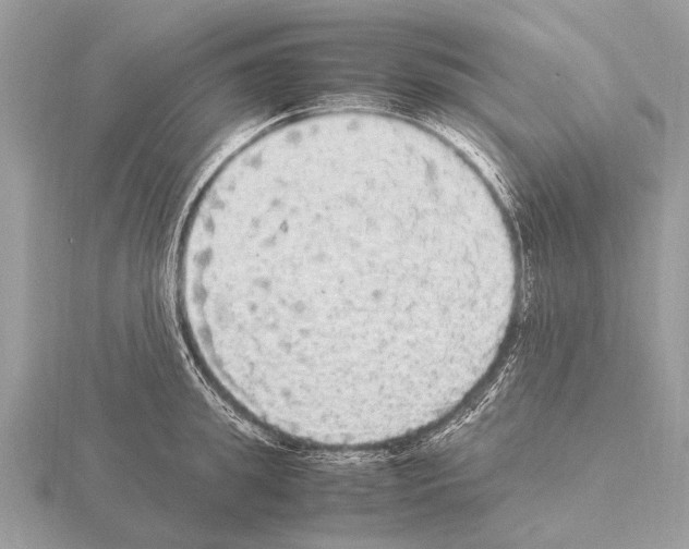 X0000115340949200912141237