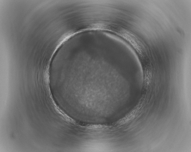 X0000115340950200912141237