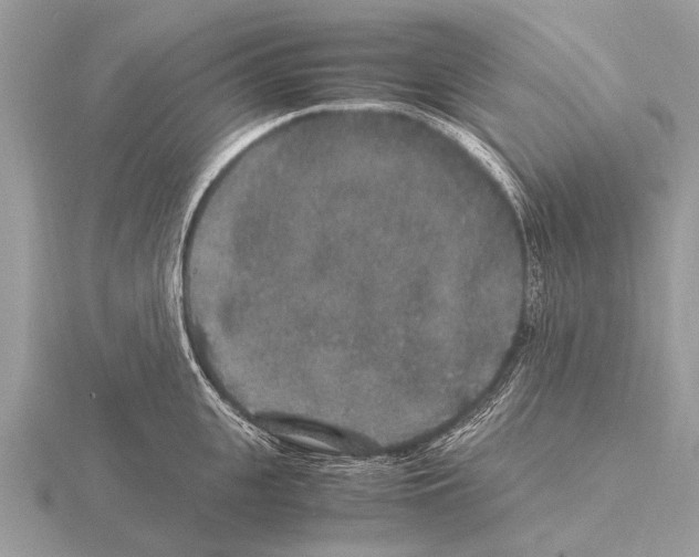 X0000115340951200912141237