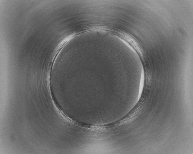 X0000115340954200912141237