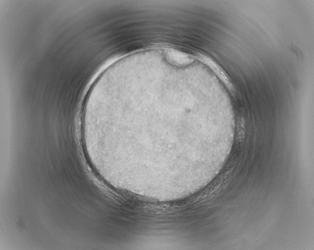 X0000115340955200912141237