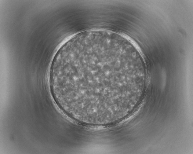 X0000115340957200912141237