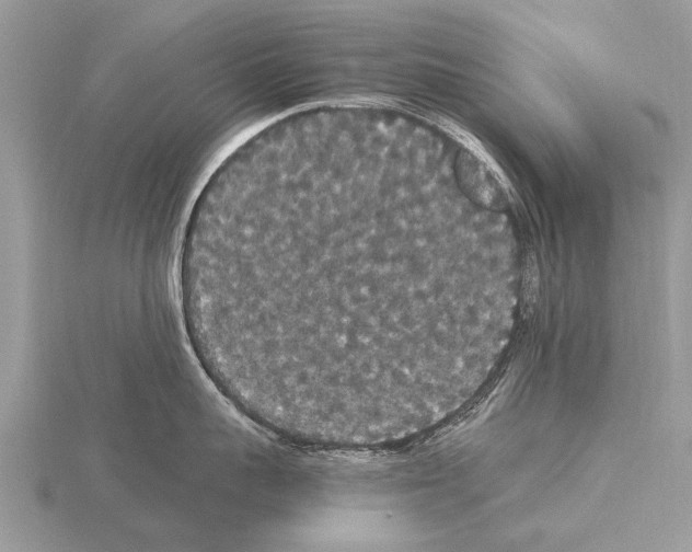 X0000115340959200912141237