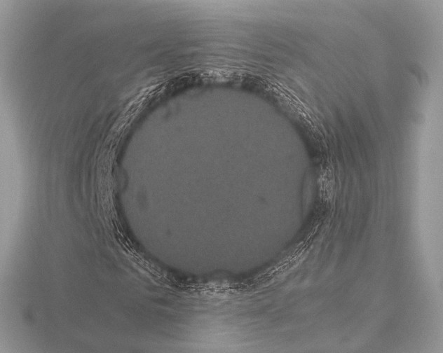 X0000115340961200912141236