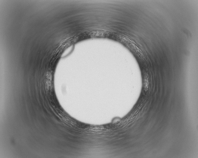 X0000115340964200912141236