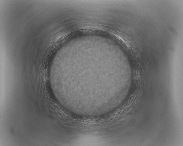 X0000115340965200912141236