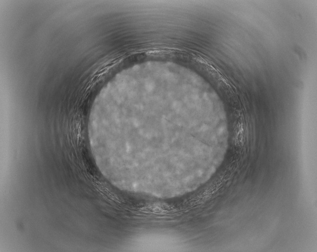 X0000115340966200912141236