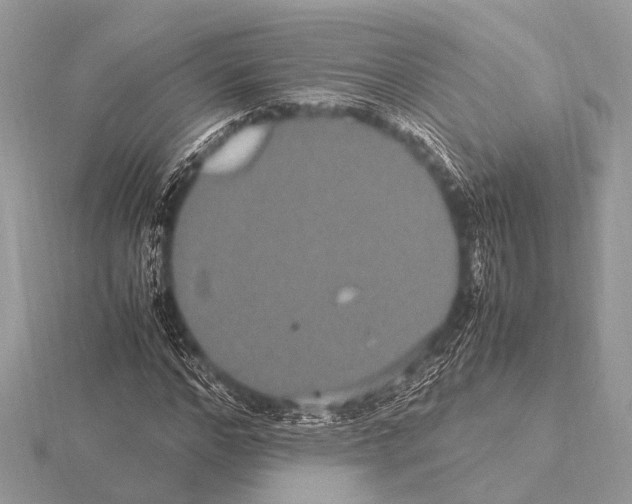 X0000115340968200912141236