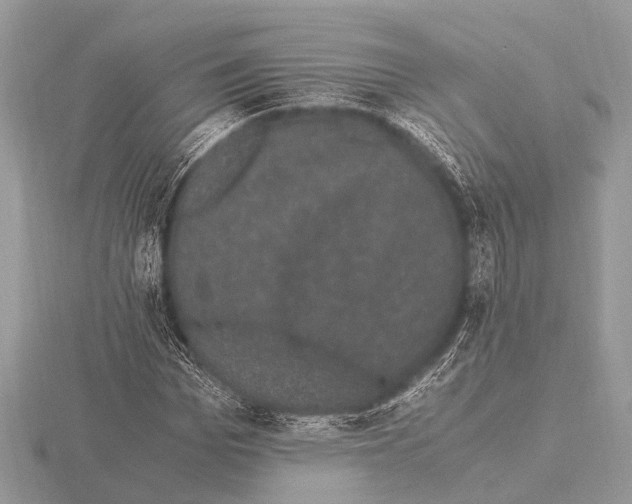 X0000115340969200912141236