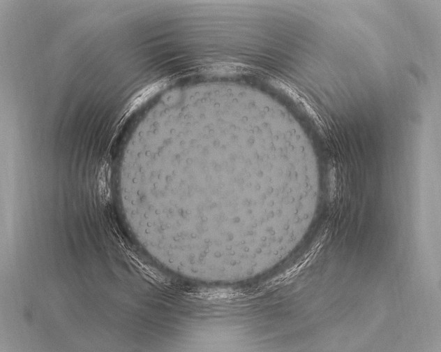 X0000115340970200912141236