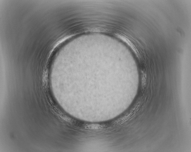 X0000115340971200912141236