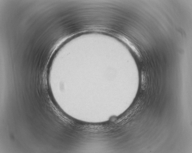 X0000115340972200912141236