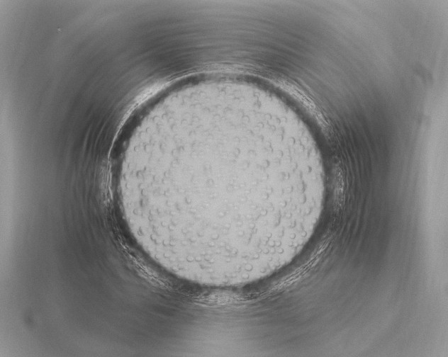 X0000115340974200912141236