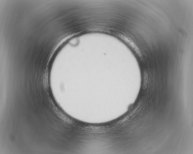 X0000115340976200912141236