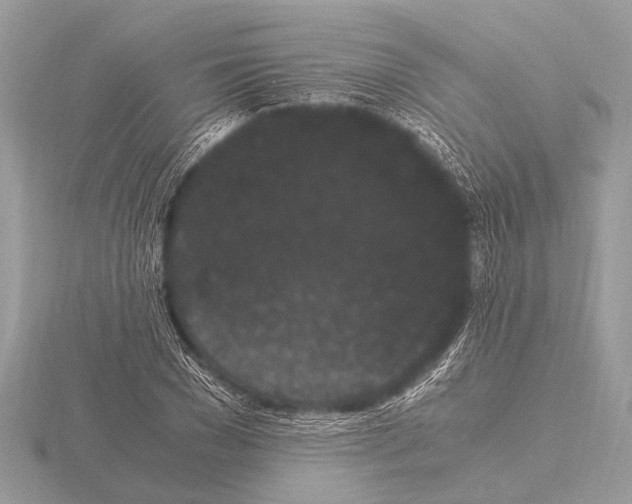 X0000115340977200912141236