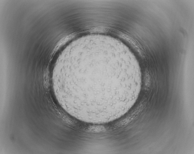 X0000115340978200912141236