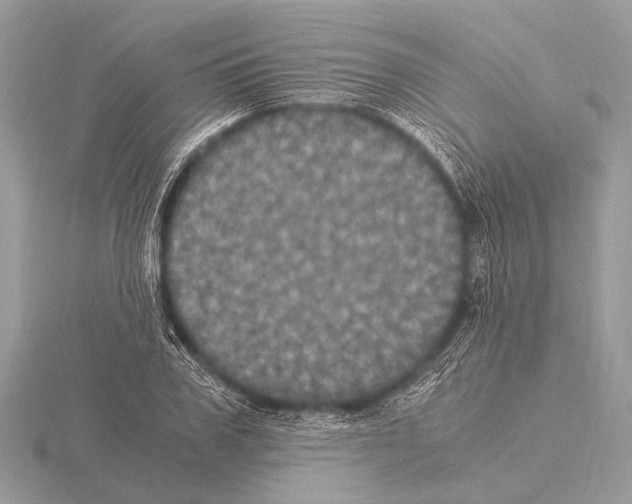 X0000115340979200912141236