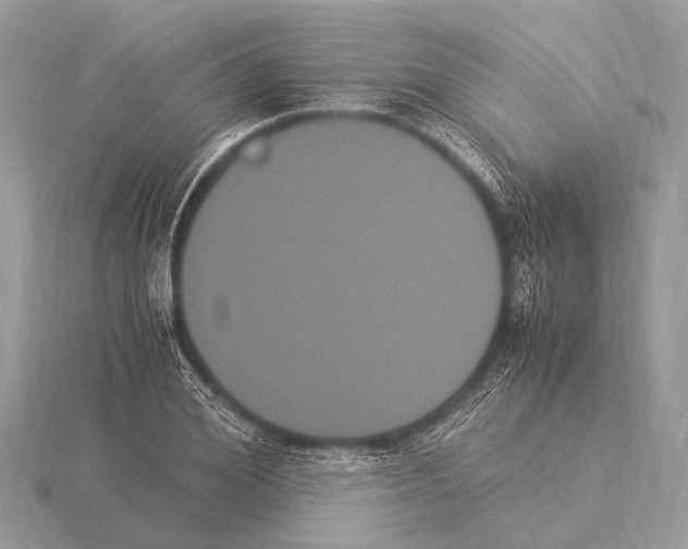 X0000115340980200912141236