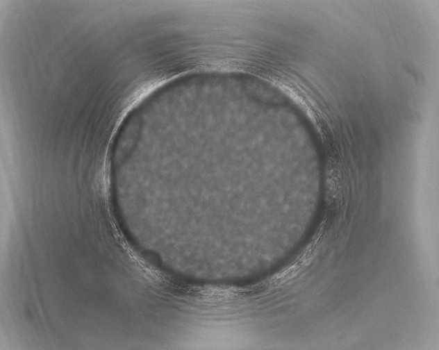 X0000115340981200912141236