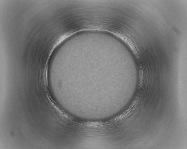 X0000115340982200912141236