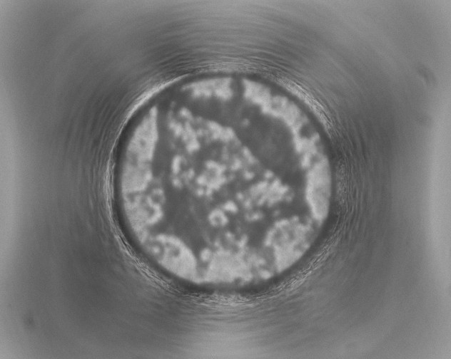 X0000115340983200912141236