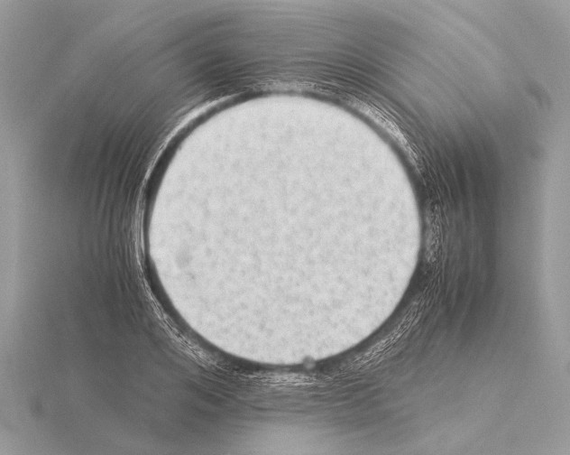 X0000115340984200912141236