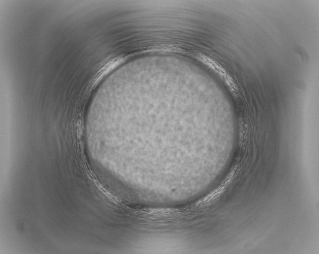 X0000115340985200912141236