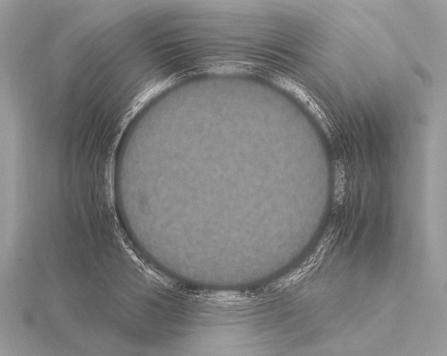 X0000115340986200912141236