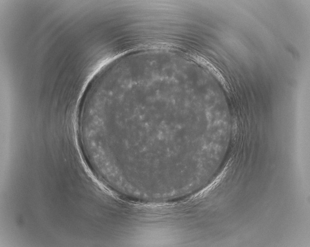 X0000115340989200912141236