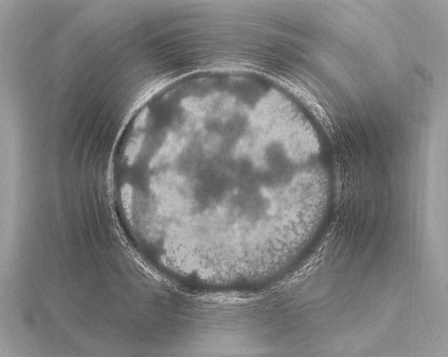 X0000115340990200912141236