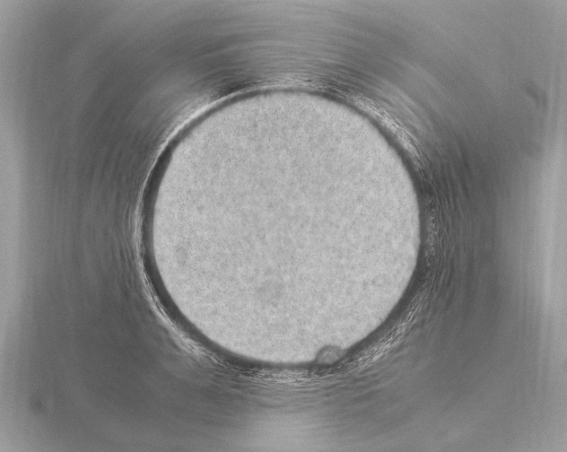 X0000115340991200912141236