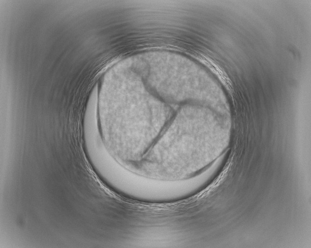 X0000115340993200912141236