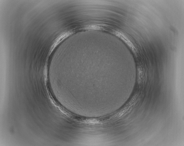 X0000115340994200912141236